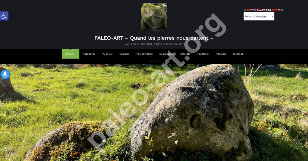 Création du site internet Paleo-Art.org par FlyPix