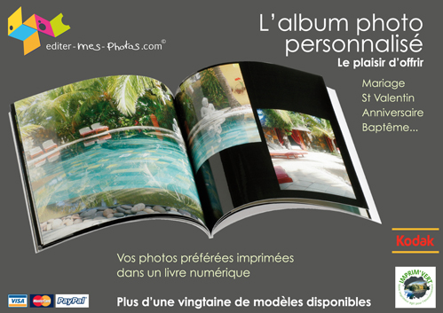 http://www.flypix.fr/images/flyerrapport.jpg