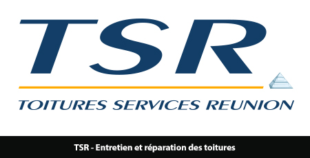 TSR (Toitures Services Réunion) : fabrication d"un ballon sur mat sphérique D = 50 cm, H = 1.80 m, air captif, enveloppe PVC 0.18 mm