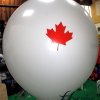 Ballons publicitaires écologiques en Latex de 1 à 1.9m de diamètre