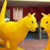 Ballons en forme d&#039;animaux (chats)